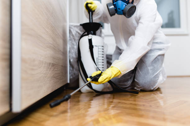 Best Cockroach Control Services  in Whitmore Lake, MI