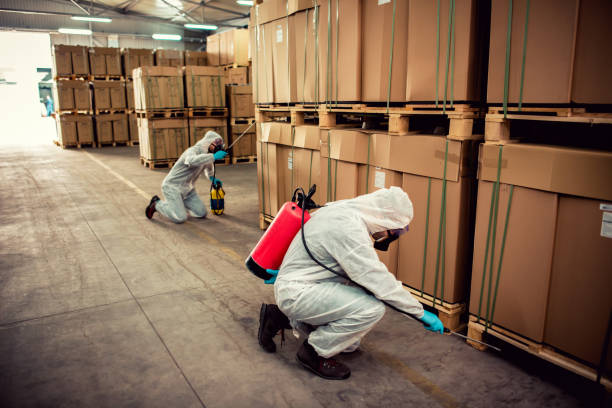 Best Ant Control Services  in Whitmore Lake, MI