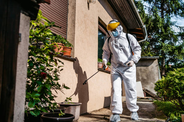 Best Local Pest Control Services  in Whitmore Lake, MI