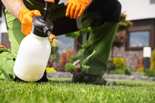 Wasp Removal Services in Whitmore Lake, MI