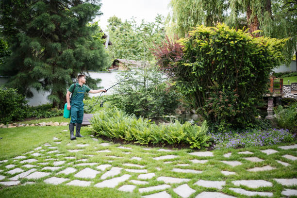 Best Pest Inspection Near Me  in Whitmore Lake, MI