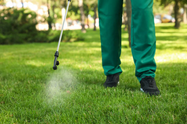 Best Affordable Pest Control Services  in Whitmore Lake, MI
