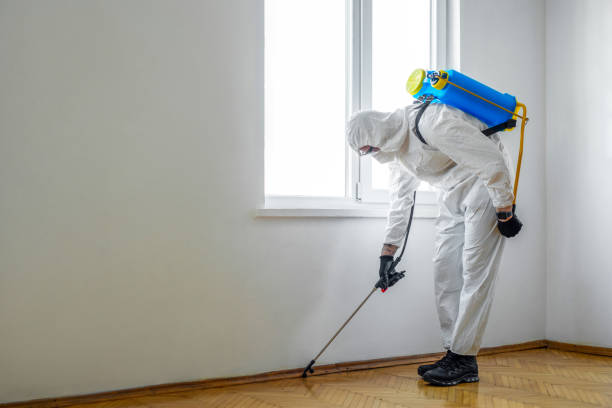 Best Flea Control Services  in Whitmore Lake, MI