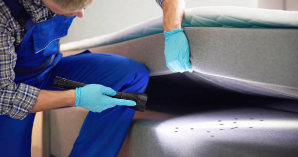 Best Commercial Pest Control Services  in Whitmore Lake, MI