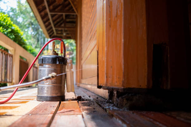 Best Pest Prevention Services  in Whitmore Lake, MI