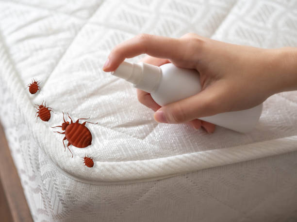 Best Emergency Pest Control  in Whitmore Lake, MI