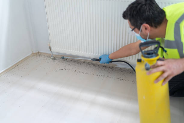 Best Pest Control Near Me  in Whitmore Lake, MI