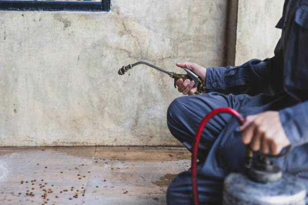 Best Wasp Removal Services  in Whitmore Lake, MI